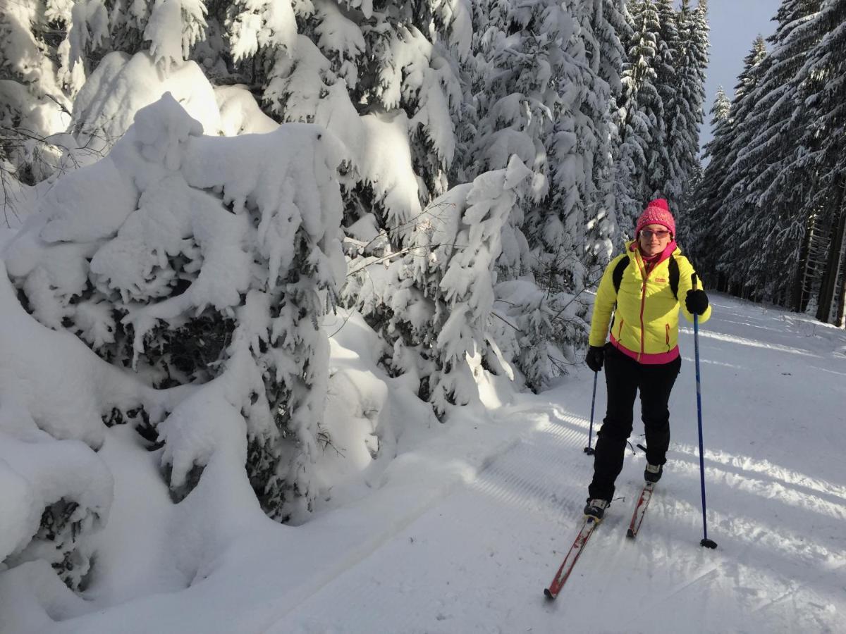 Rekreacni Domek Kobylnice Lipno Lipno nad Vltavou Luaran gambar